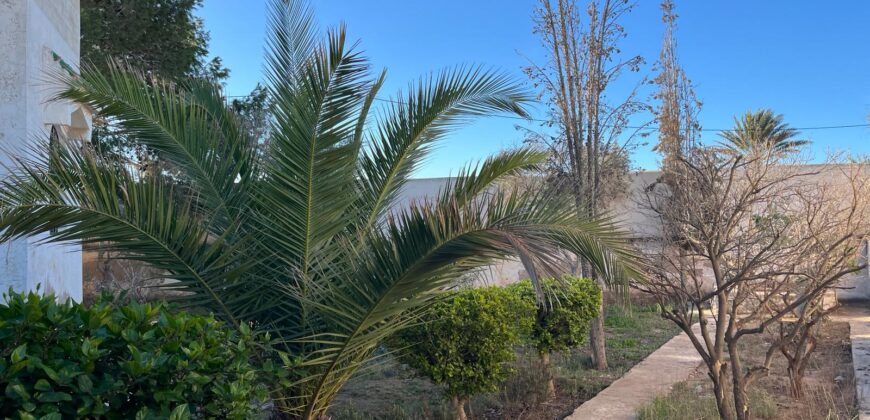 A vendre Villa à Al GHAZOUA (ESSAOUIRA)